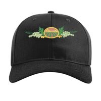 Pro Twill Snapback Thumbnail