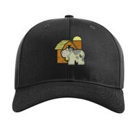 Pro Twill Snapback Thumbnail