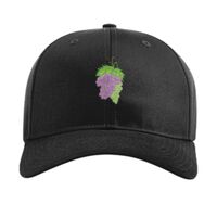 Pro Twill Snapback Thumbnail