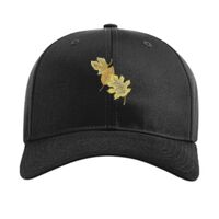 Pro Twill Snapback Thumbnail