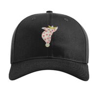 Pro Twill Snapback Thumbnail
