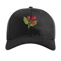 Pro Twill Snapback Thumbnail