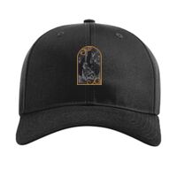 Pro Twill Snapback Thumbnail