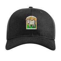Pro Twill Snapback Thumbnail