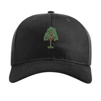 Pro Twill Snapback Thumbnail