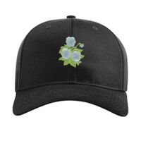 Pro Twill Snapback Thumbnail