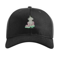 Pro Twill Snapback Thumbnail