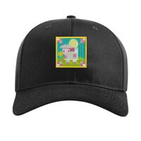 Pro Twill Snapback Thumbnail