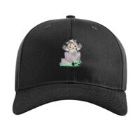Pro Twill Snapback Thumbnail