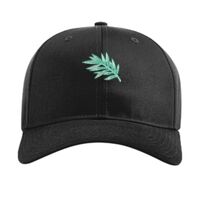 Pro Twill Snapback Thumbnail