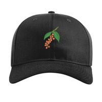 Pro Twill Snapback Thumbnail