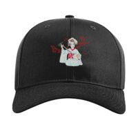 Pro Twill Snapback Thumbnail