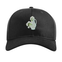 Pro Twill Snapback Thumbnail