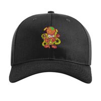 Pro Twill Snapback Thumbnail