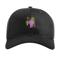 Pro Twill Snapback Thumbnail