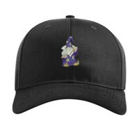Pro Twill Snapback Thumbnail