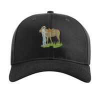 Pro Twill Snapback Thumbnail