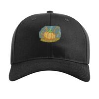 Pro Twill Snapback Thumbnail