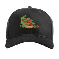 Pro Twill Snapback Thumbnail