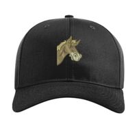 Pro Twill Snapback Thumbnail