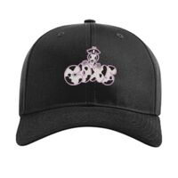 Pro Twill Snapback Thumbnail
