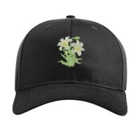 Pro Twill Snapback Thumbnail
