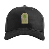 Pro Twill Snapback Thumbnail