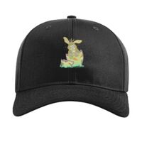 Pro Twill Snapback Thumbnail