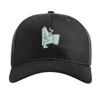 Pro Twill Snapback Thumbnail