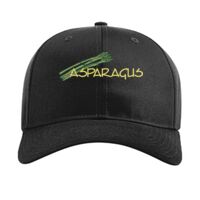 Pro Twill Snapback Thumbnail