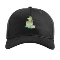 Pro Twill Snapback Thumbnail