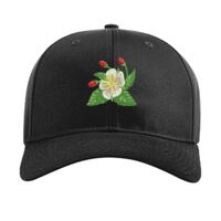 Pro Twill Snapback Thumbnail