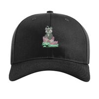 Pro Twill Snapback Thumbnail