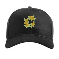 Pro Twill Snapback Thumbnail