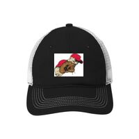 Mesh Back Cap Thumbnail