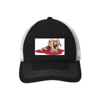 Mesh Back Cap Thumbnail