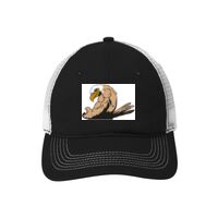 Mesh Back Cap Thumbnail