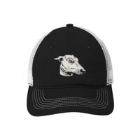 Mesh Back Cap Thumbnail