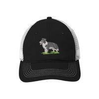 Mesh Back Cap Thumbnail