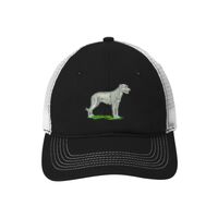 Mesh Back Cap Thumbnail