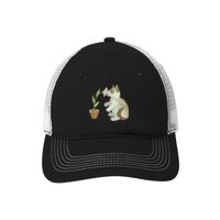 Mesh Back Cap Thumbnail