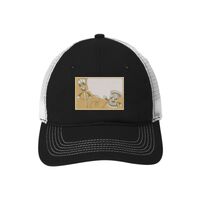 Mesh Back Cap Thumbnail