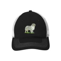 Mesh Back Cap Thumbnail