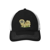 Mesh Back Cap Thumbnail