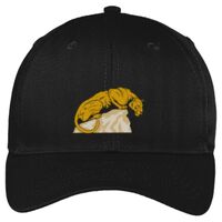 Easy Care Cap Thumbnail