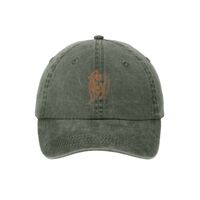 Pigment Dyed Cap Thumbnail
