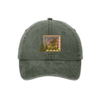 Pigment Dyed Cap Thumbnail