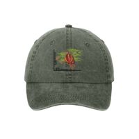 Pigment Dyed Cap Thumbnail