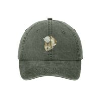 Pigment Dyed Cap Thumbnail