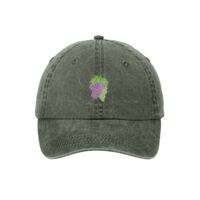 Pigment Dyed Cap Thumbnail